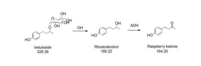 Raspberry Ketone.webp